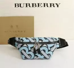 burberry aaa qualite sacs ceinture s_aaba6a